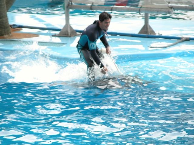 DSCN0405.JPG