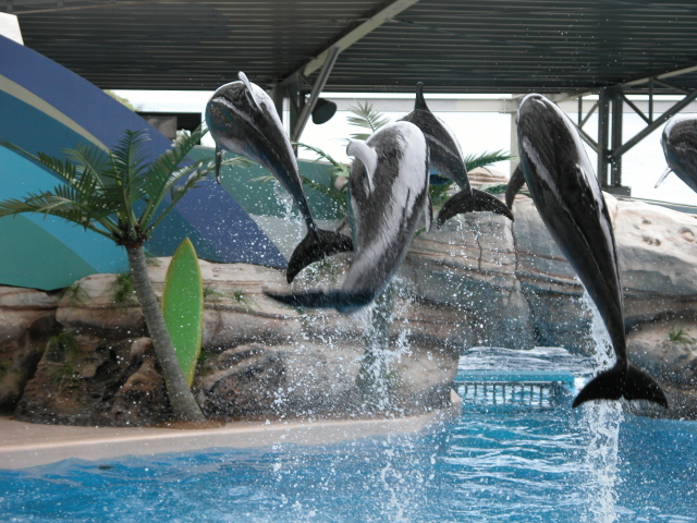 DSCN0418.JPG